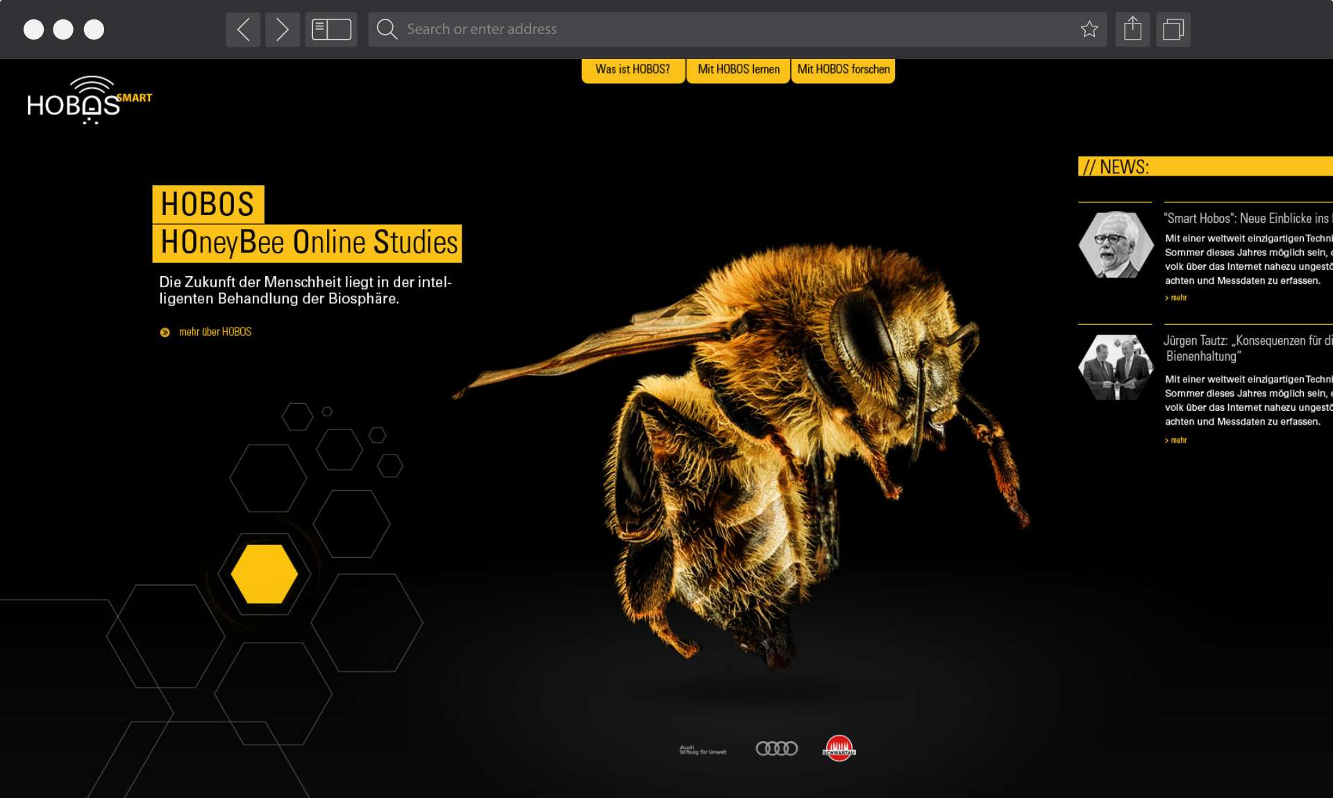 Bildschirmaufnahme der HOMOS Website mit Biene im Hintergrund