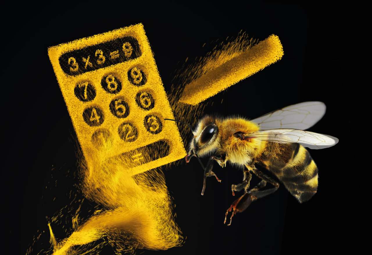 Grafik einer Biene und einem Taschenrechner aus Bienenstaub
