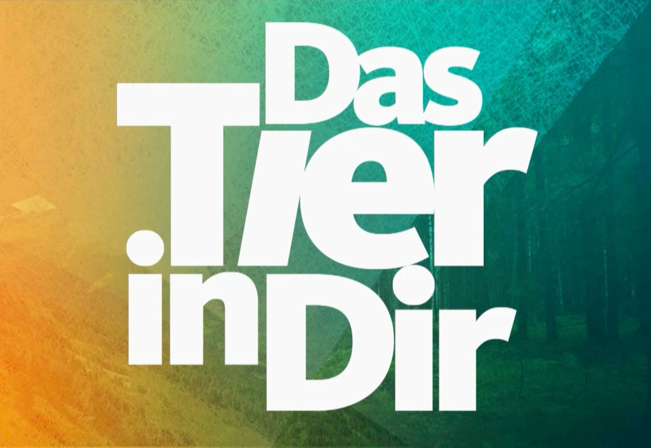 die-pro. | Case | Tierische Persönlichkeiten - Das Tier in Dir